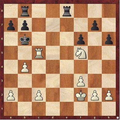 Chess Corner: Shelter